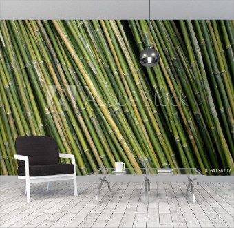 Picture of Bamboo background
